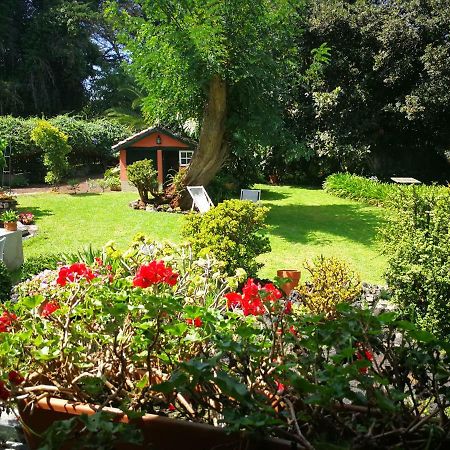 Jardines De Hortensia - Vacation Home Tenerife La Laguna  Ngoại thất bức ảnh