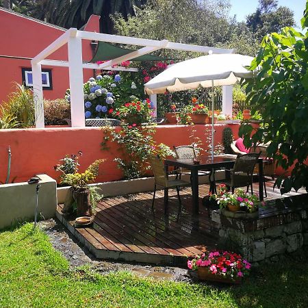 Jardines De Hortensia - Vacation Home Tenerife La Laguna  Ngoại thất bức ảnh