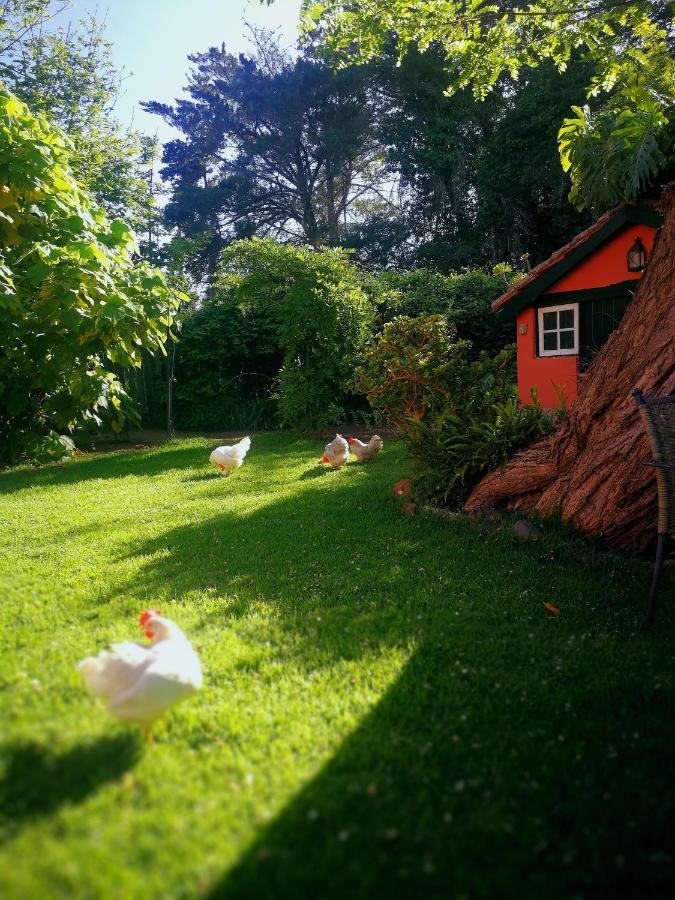 Jardines De Hortensia - Vacation Home Tenerife La Laguna  Ngoại thất bức ảnh