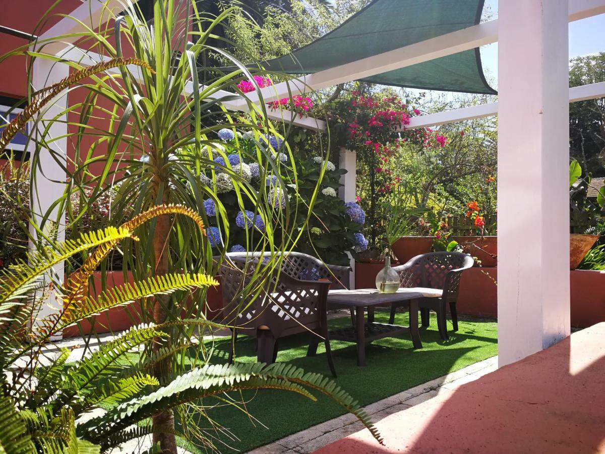 Jardines De Hortensia - Vacation Home Tenerife La Laguna  Ngoại thất bức ảnh