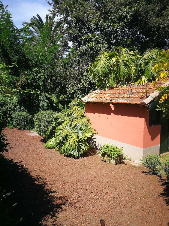 Jardines De Hortensia - Vacation Home Tenerife La Laguna  Ngoại thất bức ảnh