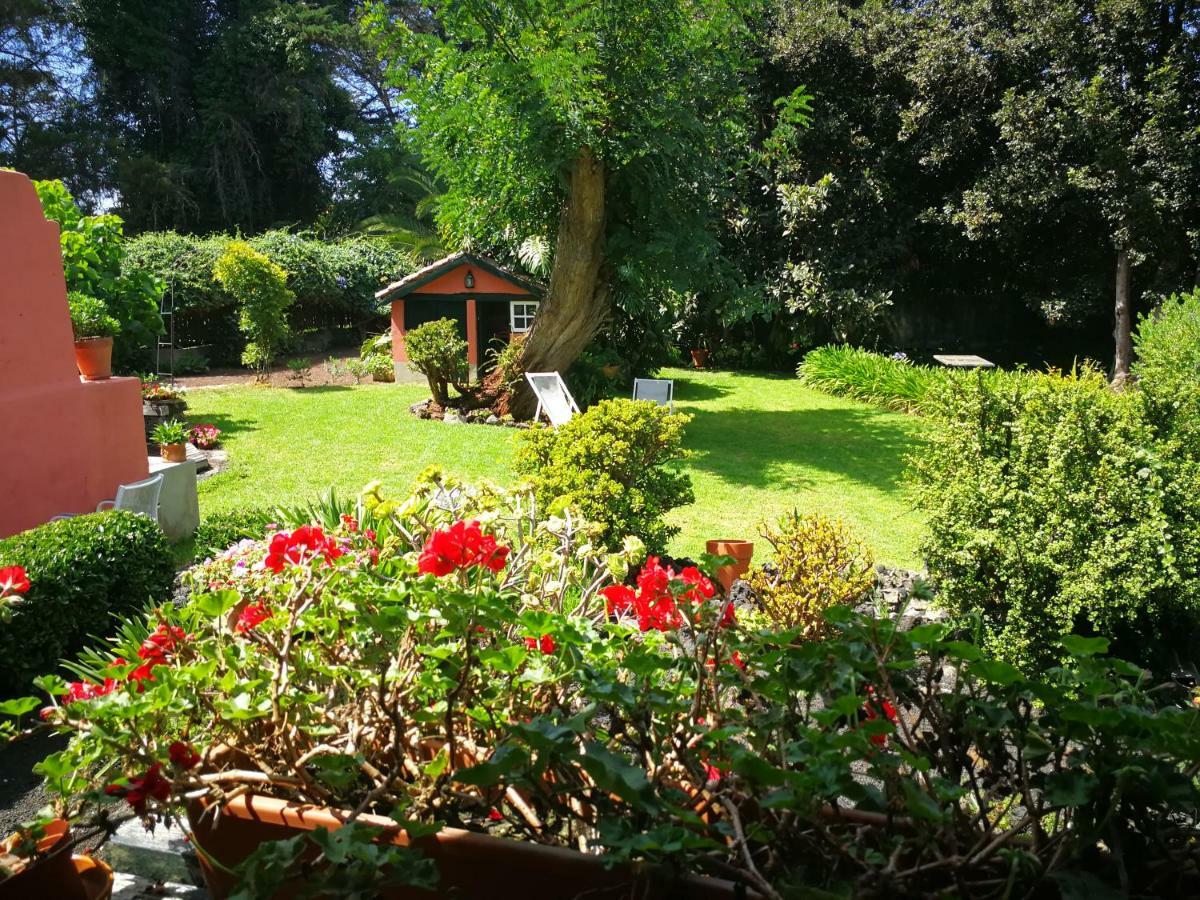 Jardines De Hortensia - Vacation Home Tenerife La Laguna  Ngoại thất bức ảnh