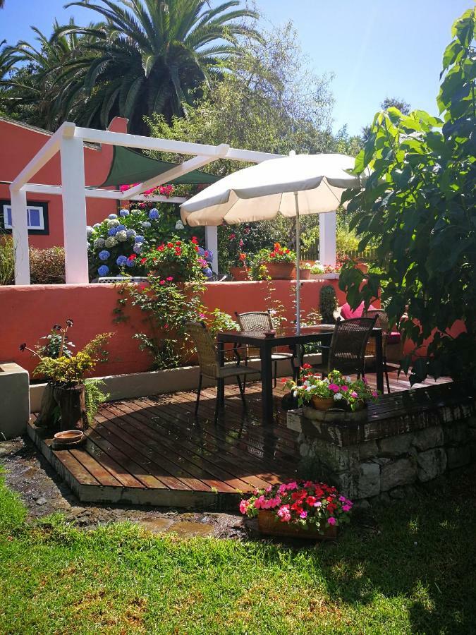 Jardines De Hortensia - Vacation Home Tenerife La Laguna  Ngoại thất bức ảnh