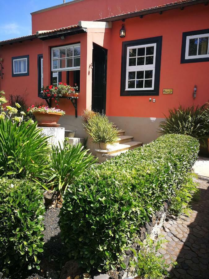 Jardines De Hortensia - Vacation Home Tenerife La Laguna  Ngoại thất bức ảnh